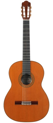 [18185] Asturias Standard Concert Cedar Rosewood 1991