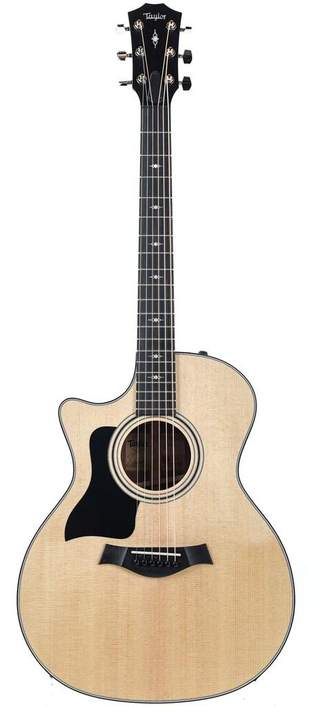 Taylor 314ce Lefty
