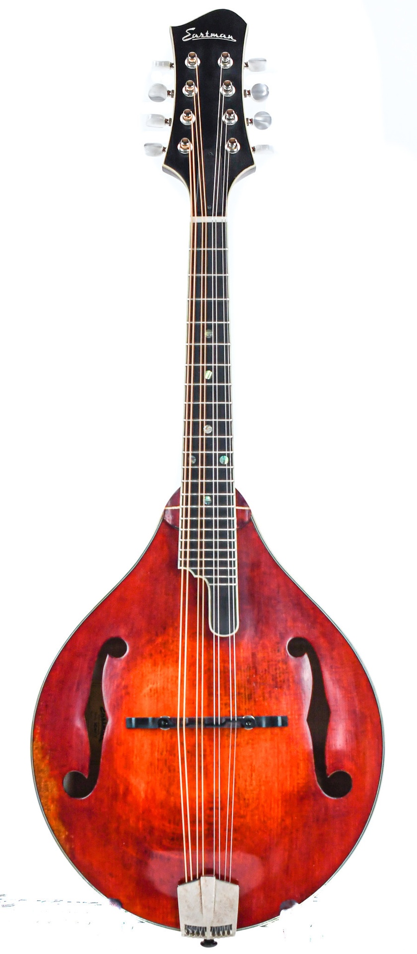 Violin Set】EASTMAN（イーストマン） VL80: ヴァイオリン｜山野