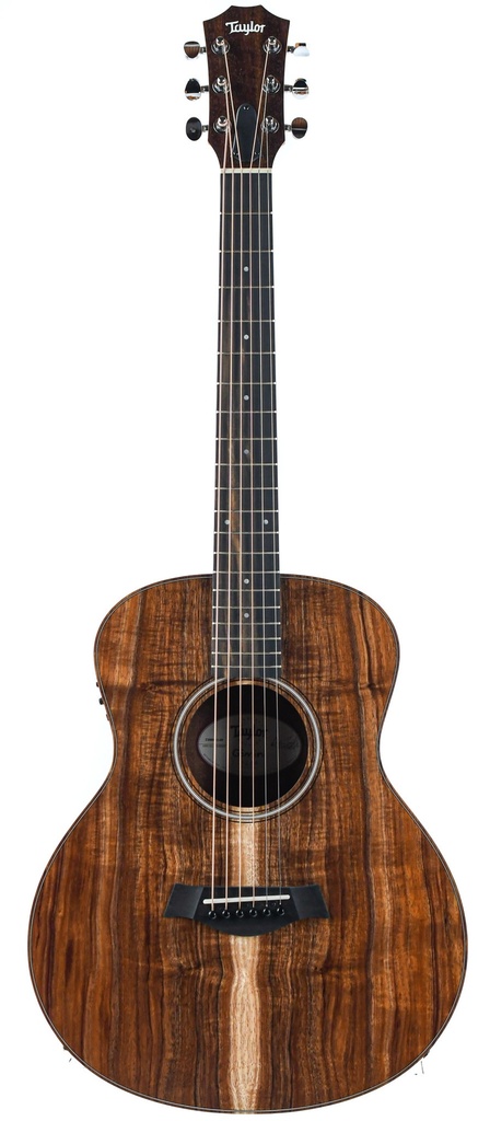 Taylor GS Mini e Koa The Fellowship of Acoustics