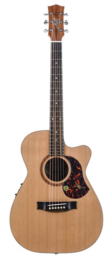 [22] Maton SRS 808c