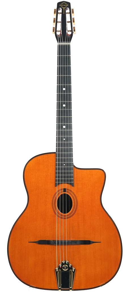Gitane DG255 | The Fellowship of Acoustics