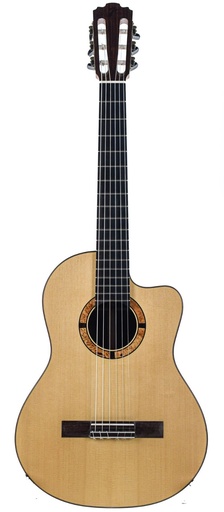 Karl Jürss Fusion Classical Rosewood Spruce Recent